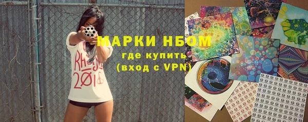 ECSTASY Алзамай